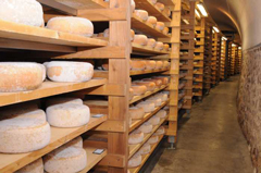 Academie Opus Caseus Hosts Cheese Course at Jasper Hill in Vermont