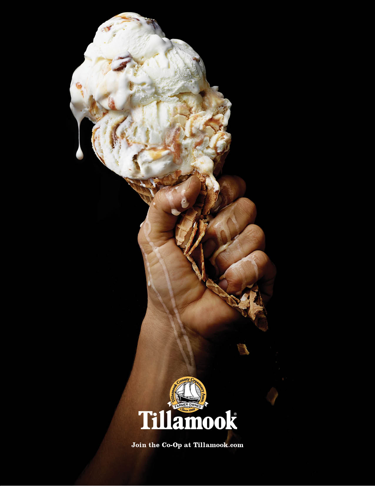  Tillamook Launches Fan-Based Consumer 