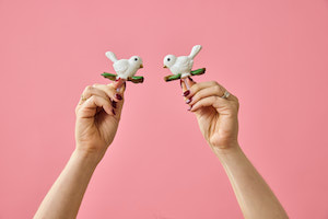 nora fleming Launches “back to brick” Initiative with Exclusive “bestie bird” Mini