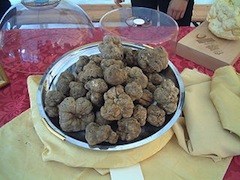 White Truffle Season Hampered by Unfavorable Weather in Italy