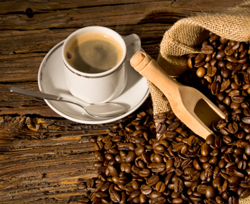 Coffee Fest 2012 Unveils Best New Products 