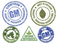 Study: Americans Support FDA’s Voluntary GMO Labeling Policy 