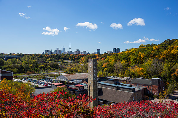 Toronto Food and Wine Festival Debuts